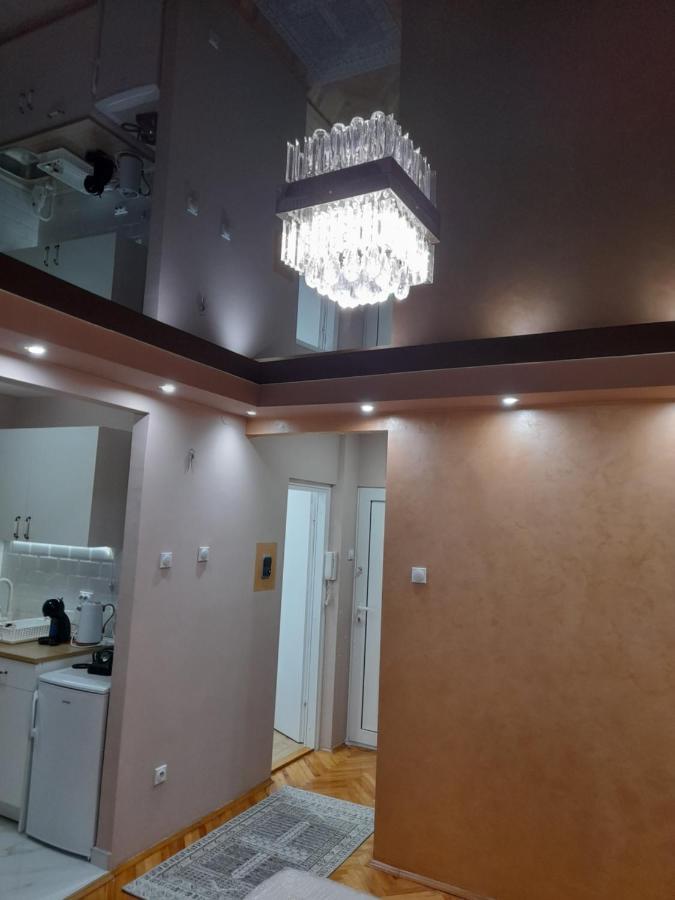 Zaječar Iva Lux Apartman מראה חיצוני תמונה