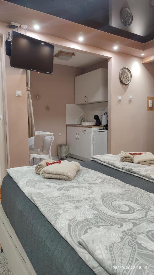 Zaječar Iva Lux Apartman מראה חיצוני תמונה